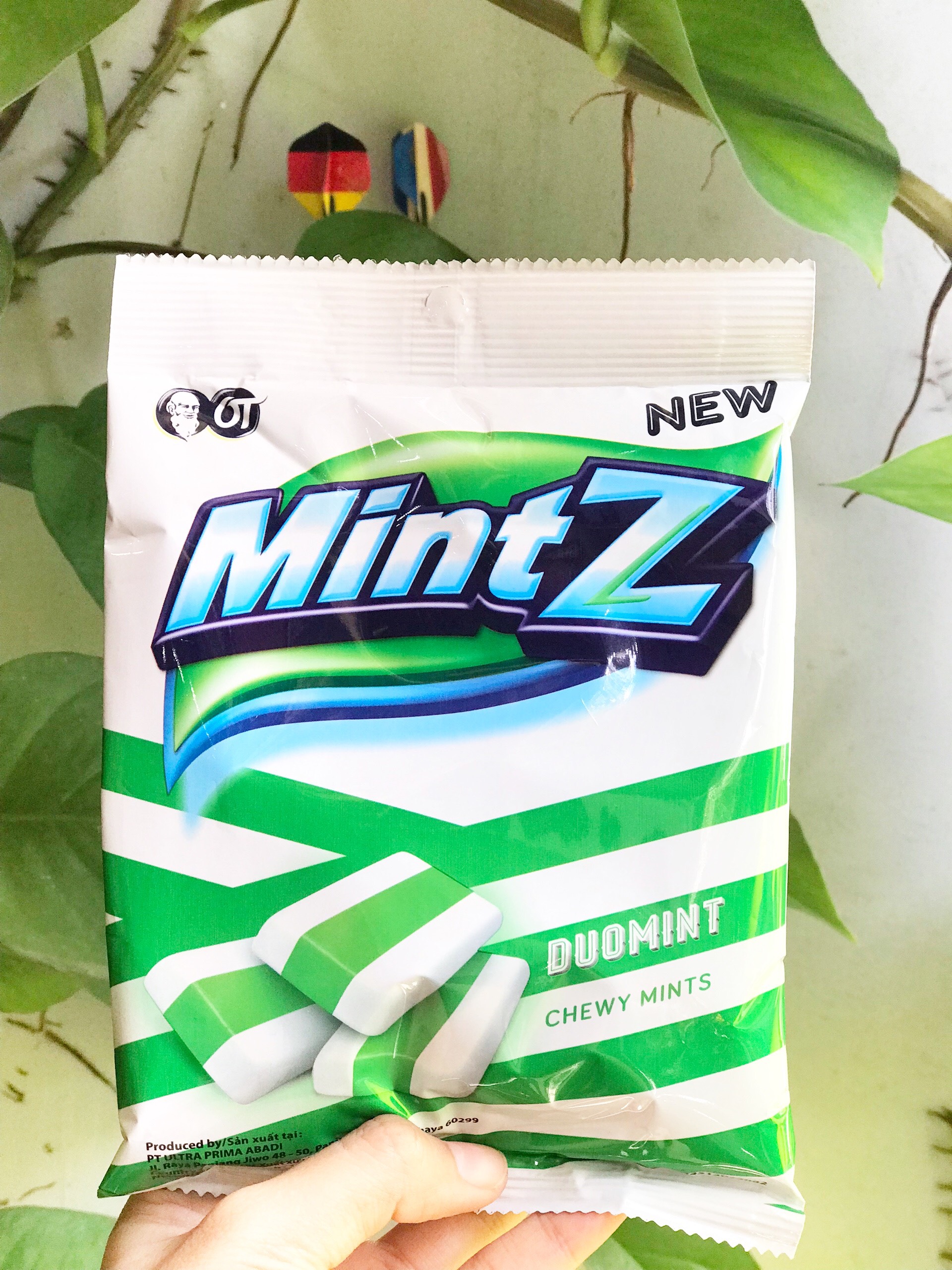 Mintz Duomint Chewy Mints Mint Flavor (115g Pack-Leaf)