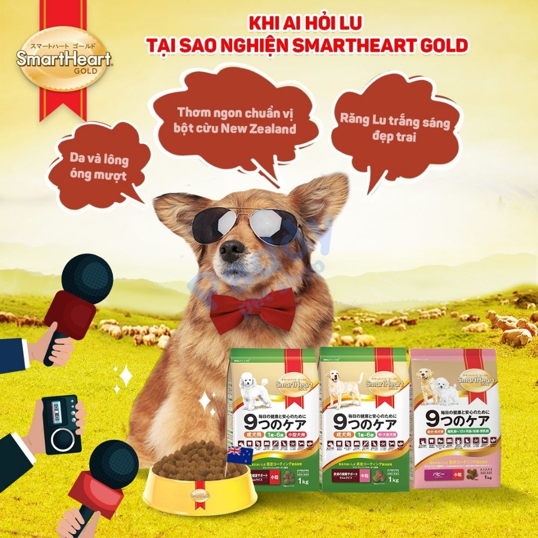 Hạt Cho Chó SmartHeart Gold Cao Cấp Vị Cừu & Gạo