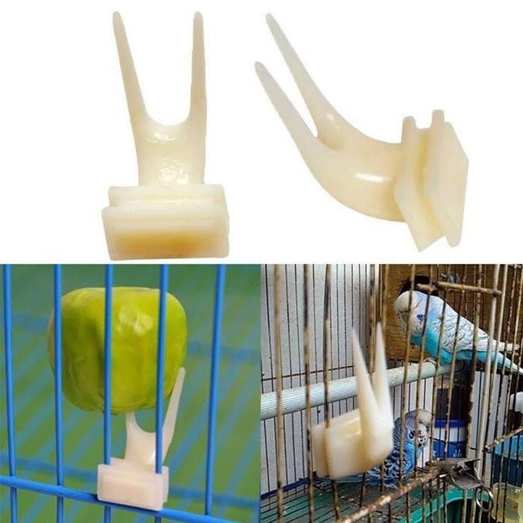 Xiên trái cây nhỏ cho chim vẹt