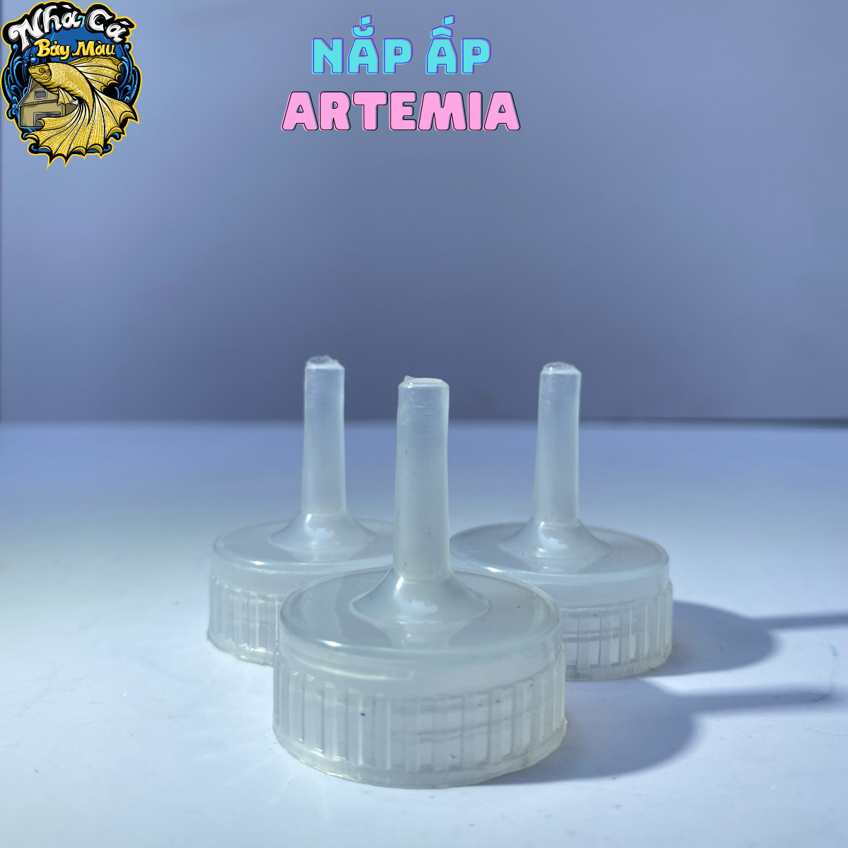 Nấp ấp artemia, dụng cụ ấp nở artemia