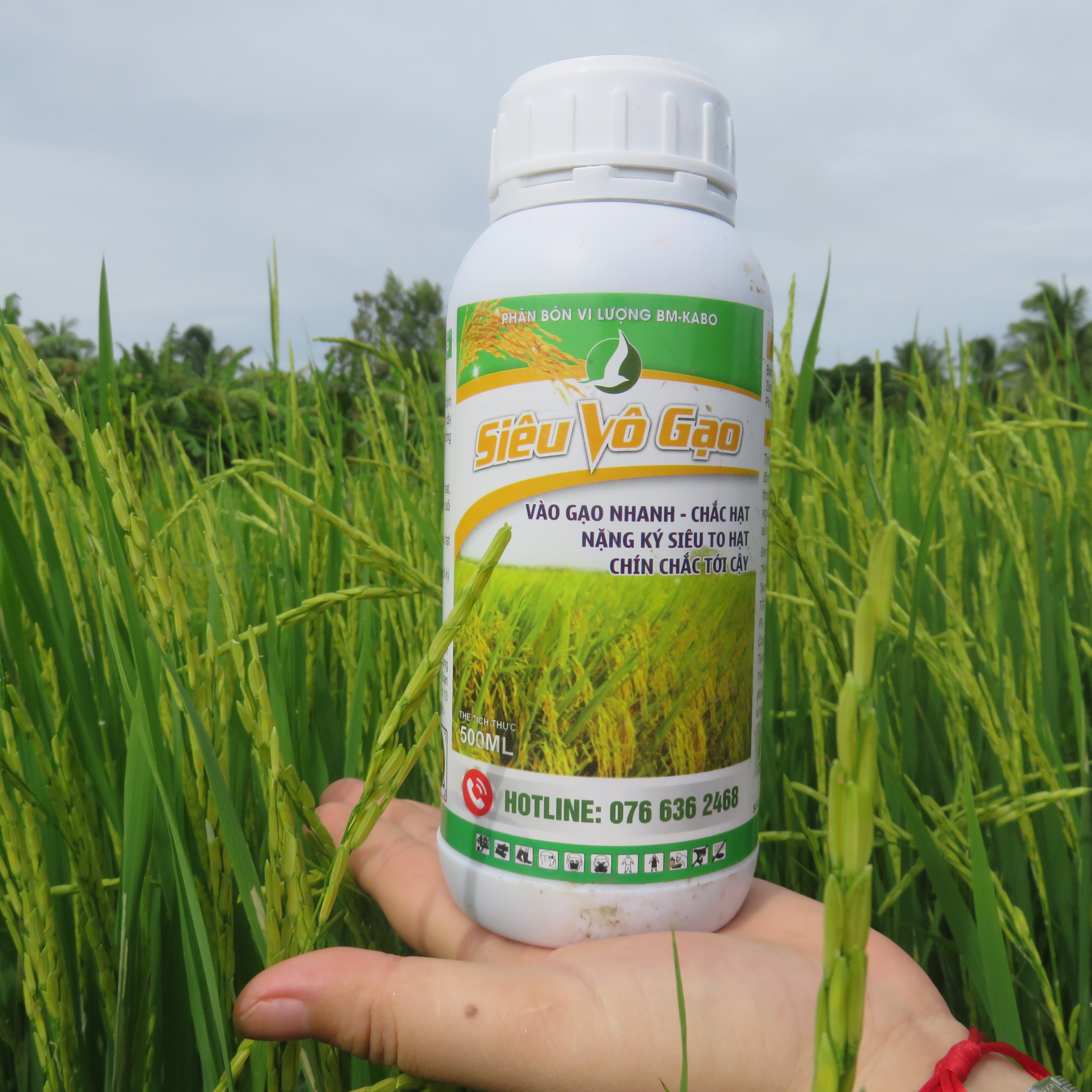 VÔ GẠO NHANH - PHÂN BÓN CHUYÊN LÚA (CHAI 500ML)