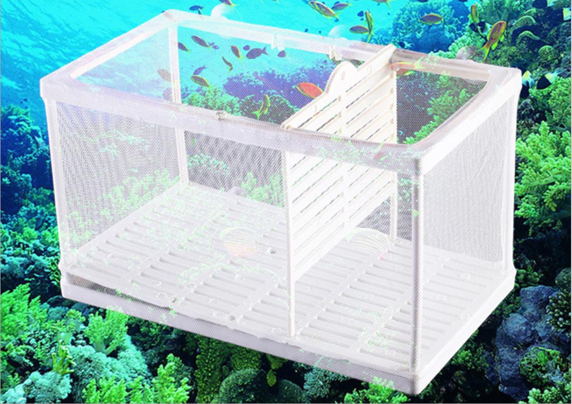 Lồng Đẻ Vải - Lồng Đẻ Cá Bảy Màu