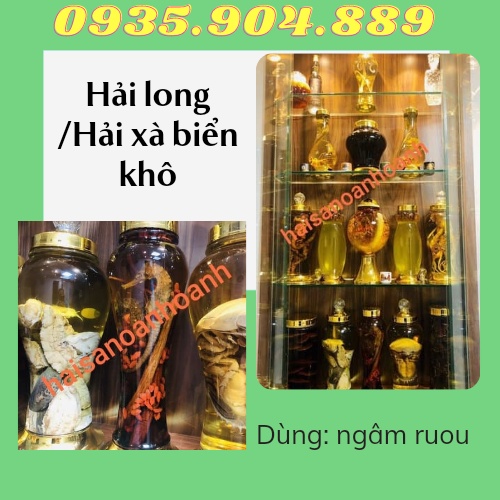 {Tặng 2 con sao biển} + 2 con Hải Long 3 cạnh/Hải xà biển khô