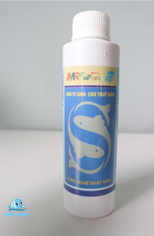 Men vi sinh cho hồ thủy sinh