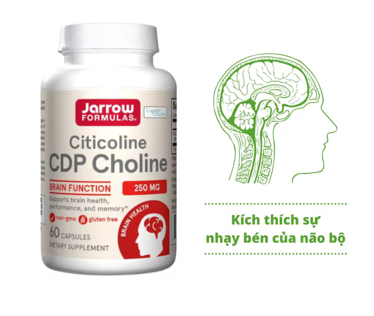 Jarrow Citicoline CDP Choline 60 viên