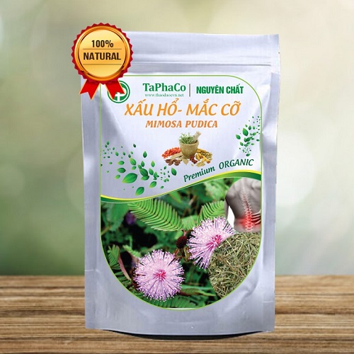 Cây mắc cỡ khô 500g, Cây xấu hổ khô