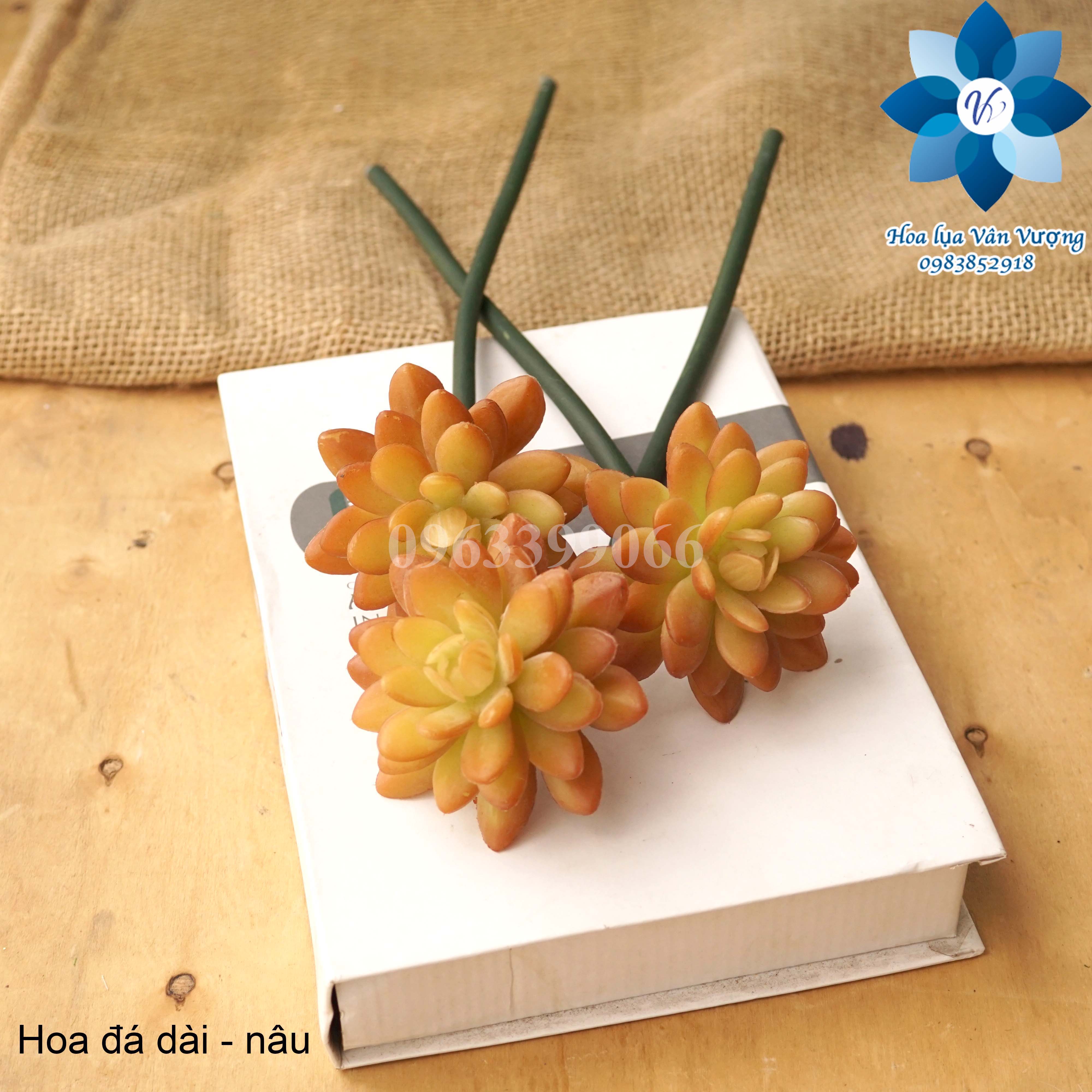 Hoa Đá Giả, Hoa Sen Đá Giả Cành Dài
