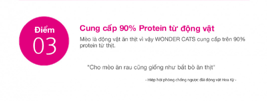 [DATE MỚI] [1kg/COMBO] Wonder Cats - Thức ăn hạt cho mèo mọi lứa tuổi nhập khẩu Hàn Quốc