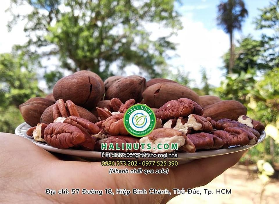 Quả Hồ Đào Mỹ Hali Nuts 500gr