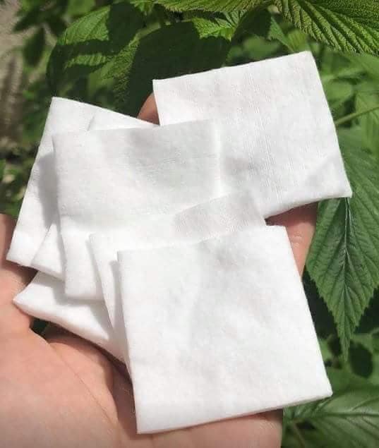Bông Tẩy Trang Organic 500 Miếng