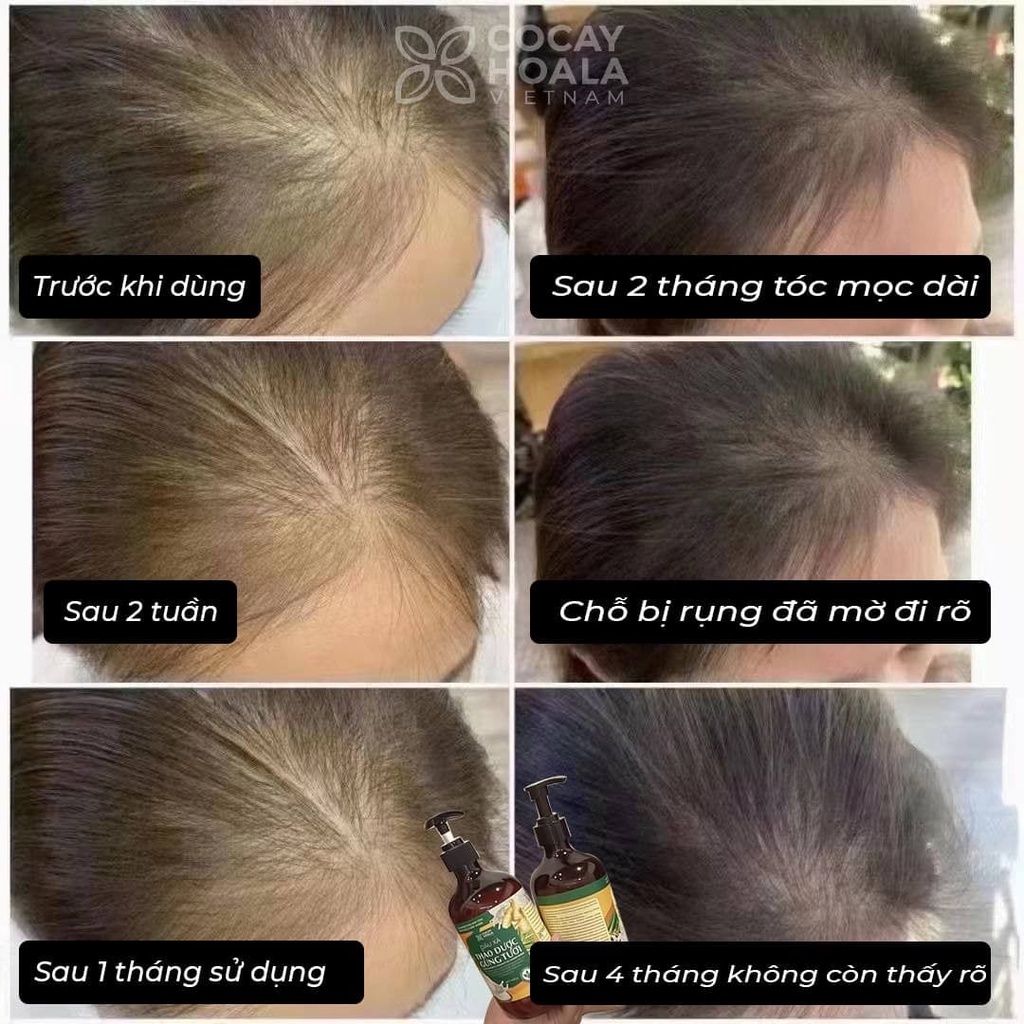 Dầu gội -  xả thảo dược Gừng Dừa