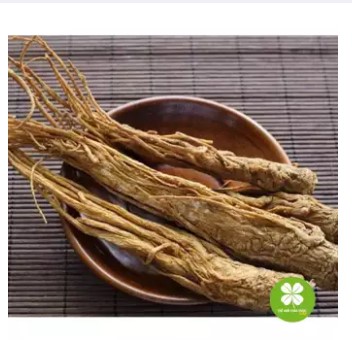 Đương Quy Khô 1KG -DTX190