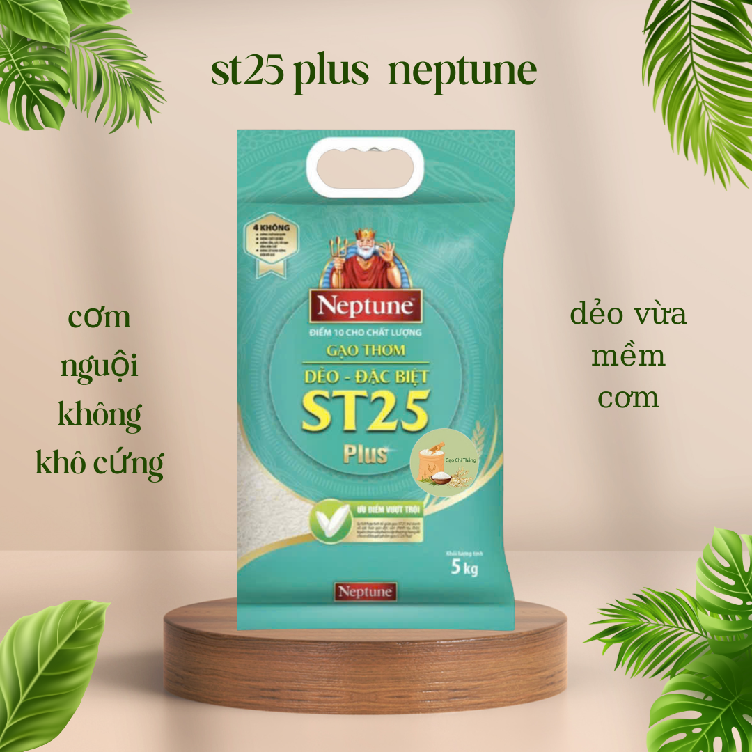 5kg gạo thơm dẻo st25 Neptune plus đặc biệt