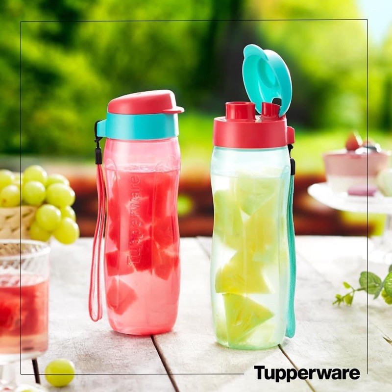 Bình Nước Tupperware Eco Bottle Gen II 500ml