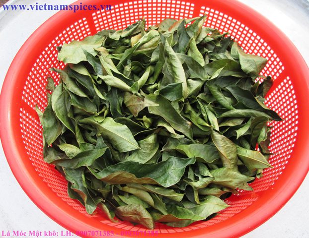 Lá Móc Mật khô 100gram