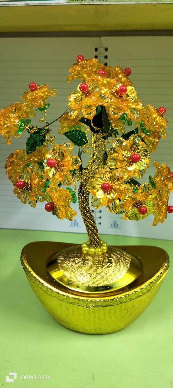 Cây kim ngân vạn lượng