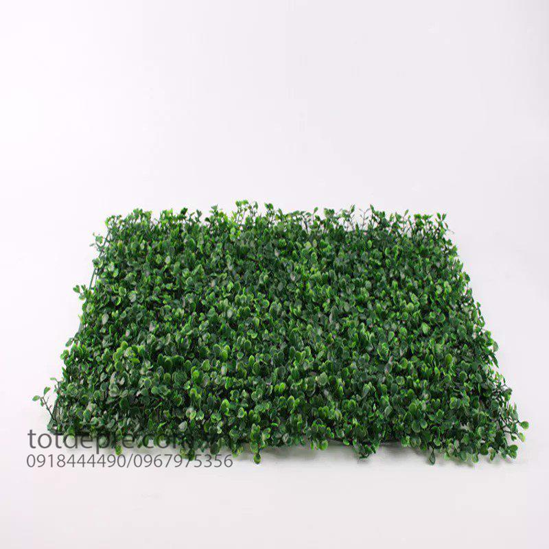 Thảm cỏ xoong nhân tạo 60x40cm