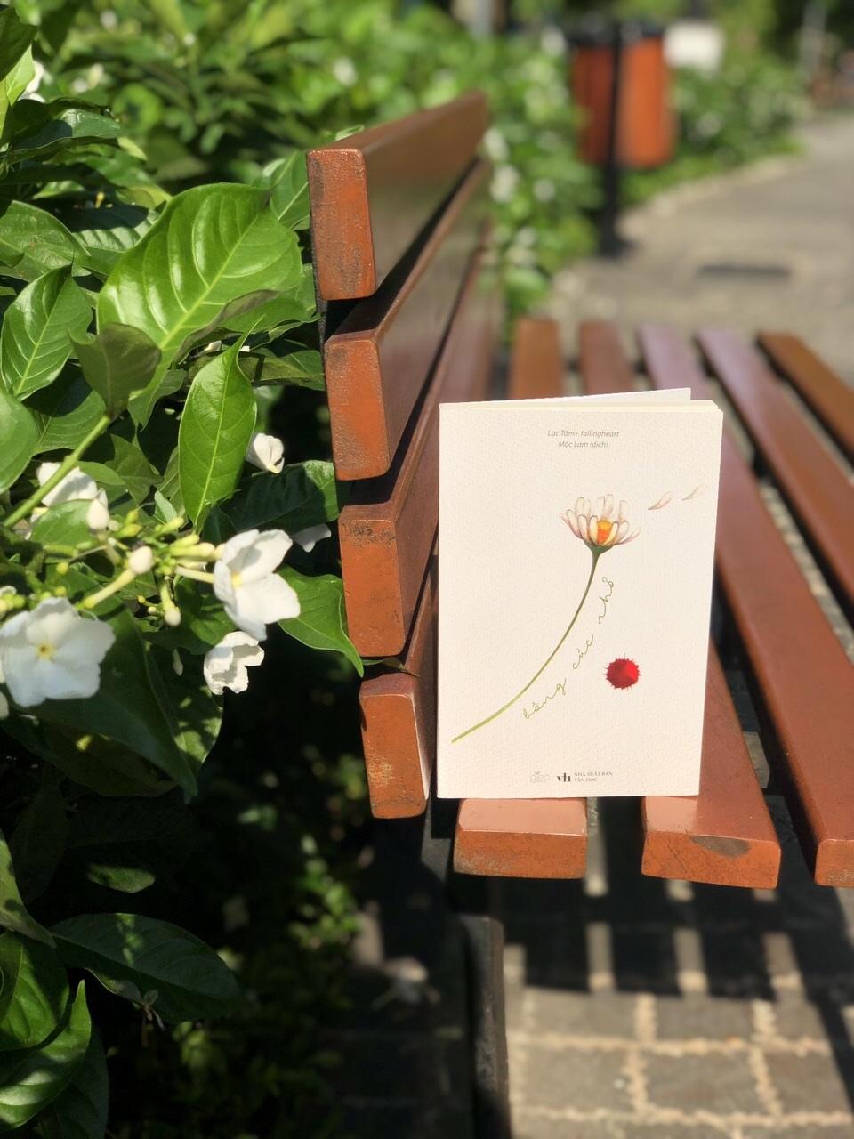[ Sách ] Bông Cúc Nhỏ - Tặng Kèm Bookmark