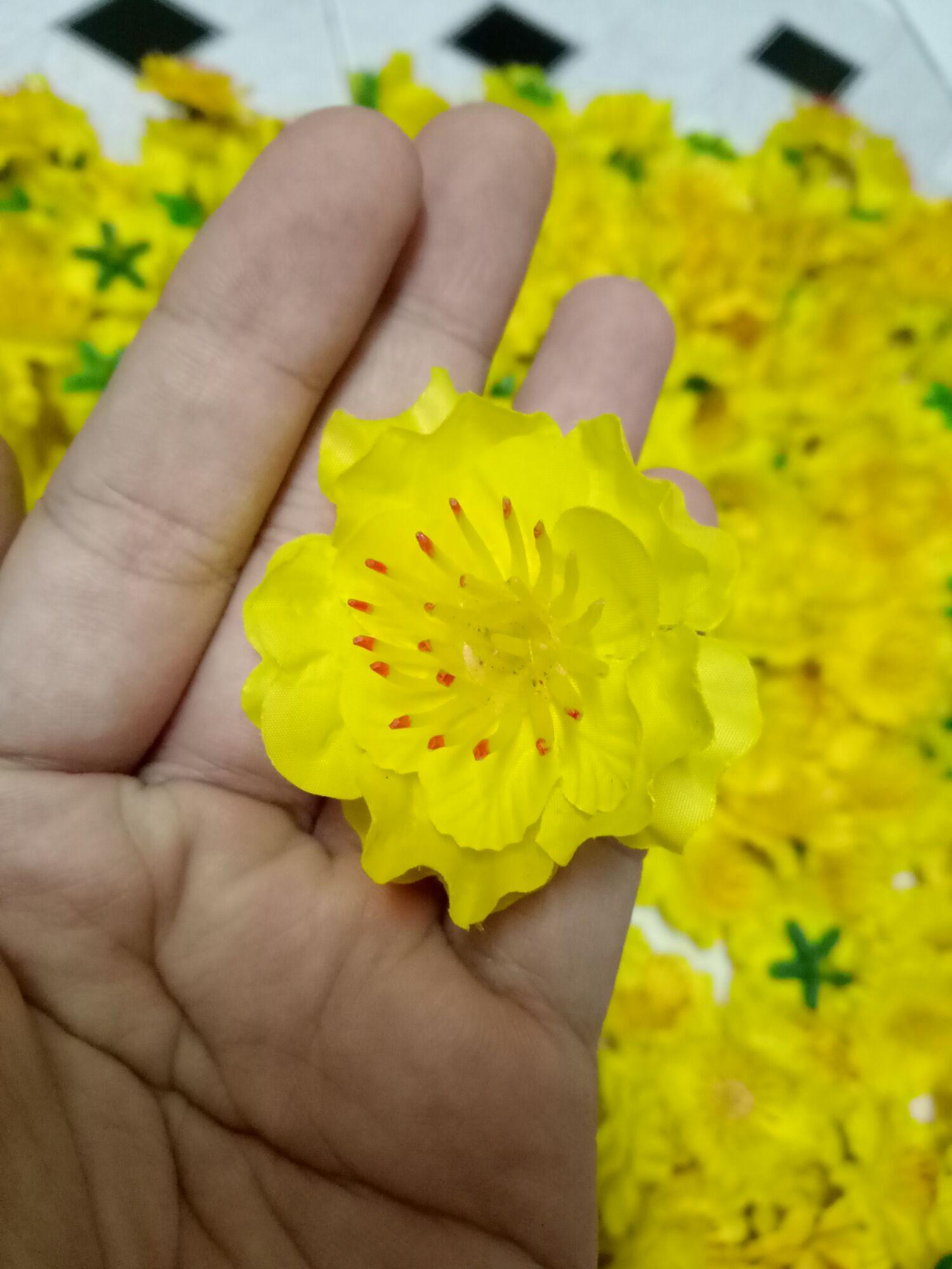 Gói 180 hoa mai chưng tết