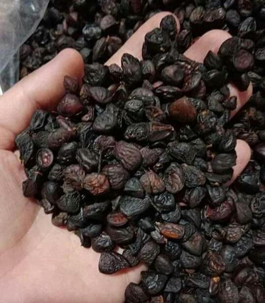 COMBO: 20 HẠT DỔI + 200G MẮC KHÉN