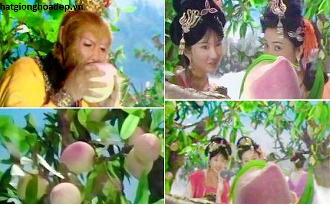 Cây Giống Đào Tiên Nhật Bản