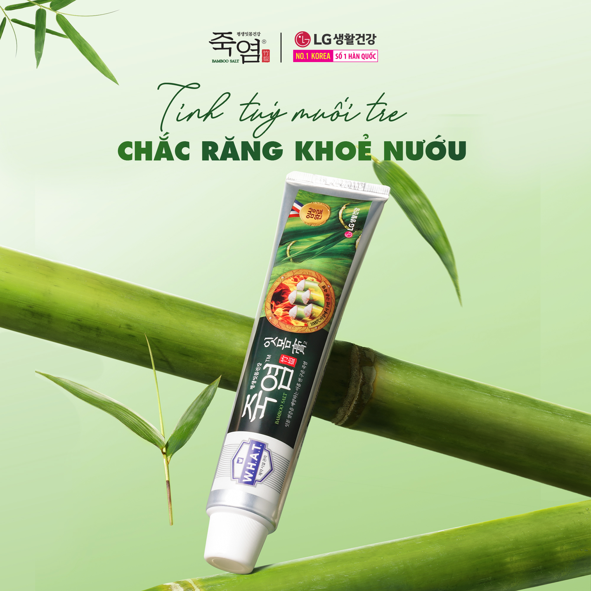 [LG Daily Beauty Official] Kem đánh răng Bamboo Salt Muối Tre Chăm Sóc Nướu 140g