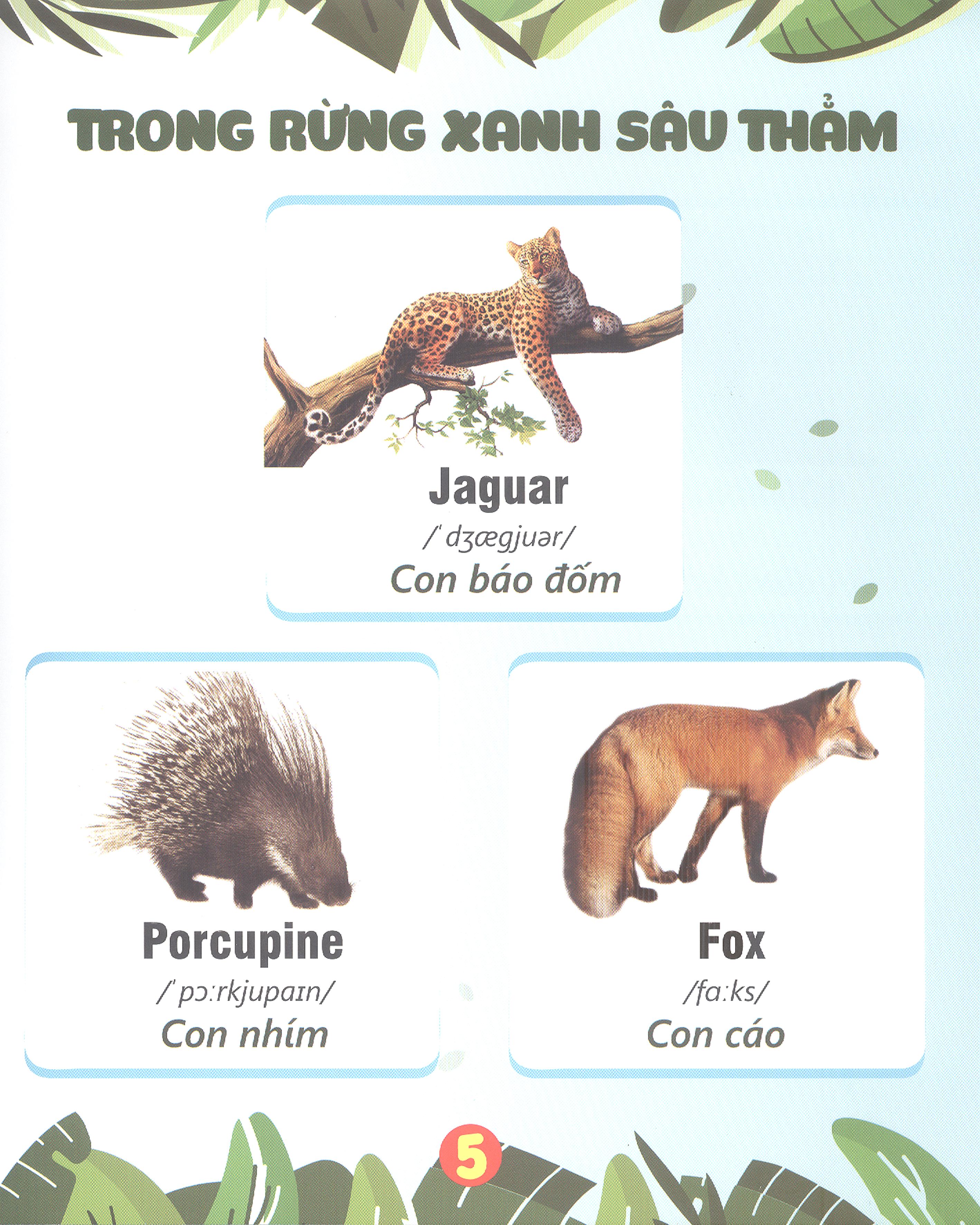 Cuốn Sách Đầu Tiên Của Bé - Động Vật