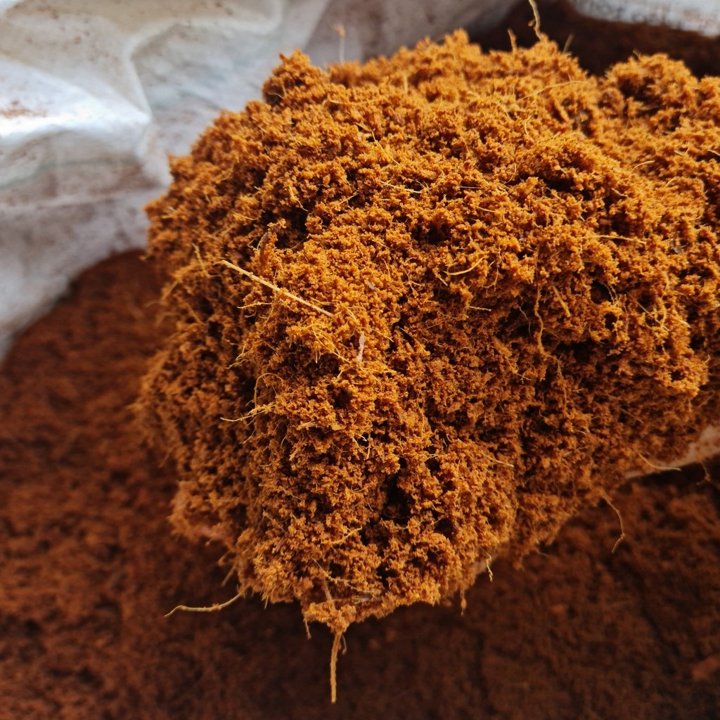 MỤN XƠ DỪA DÙNG GIEO CÂY, TRỘN ĐẤT TRỒNG CÂY 2dm3