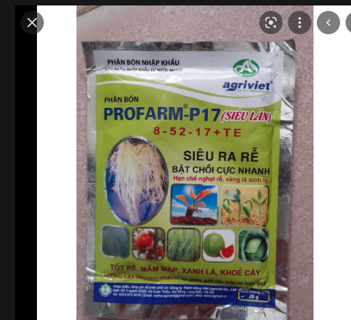 PHÂN BÓN KÍCH RỄ SIÊU LÂN NHẬP KHẨU P17 (8-52-17+TE)  GÓI 20 GR