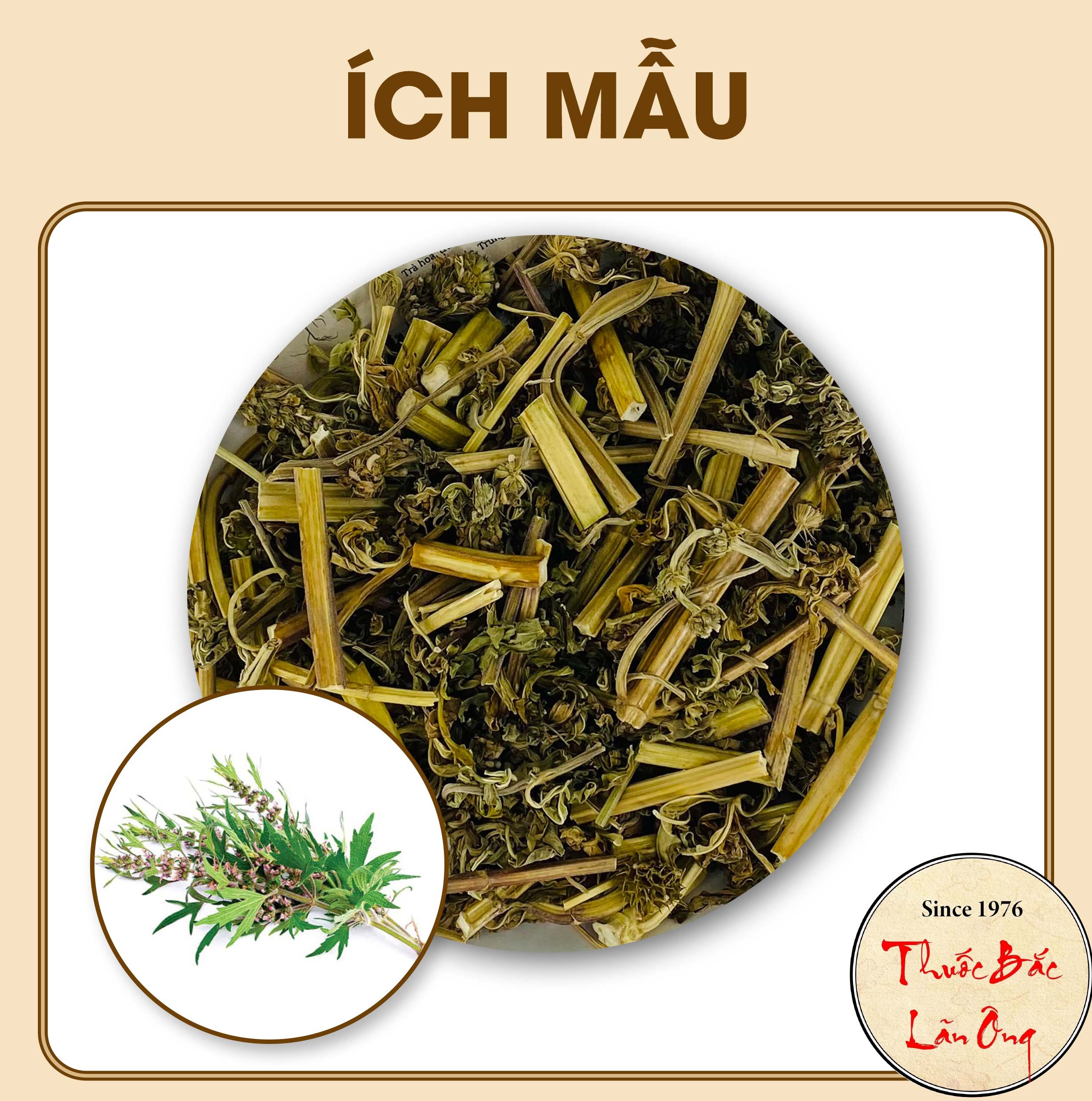 Ích mẫu 1kg, khô, sạch, thơm - lãn ông