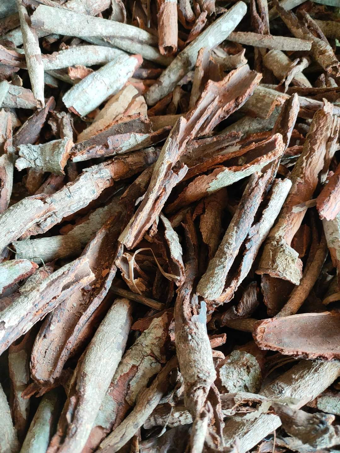 chất kết dính thức ăn cho cá 2kg