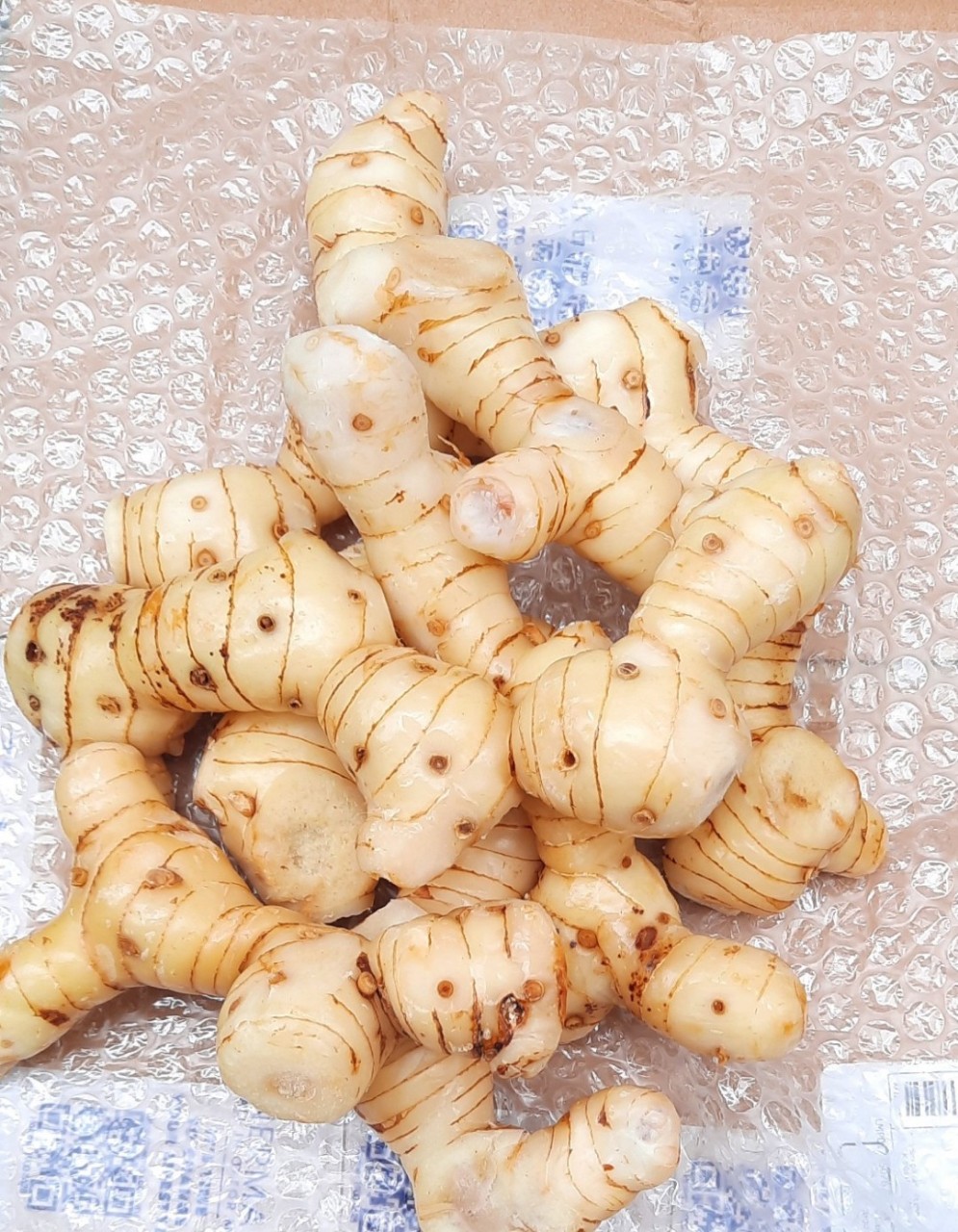 riềng