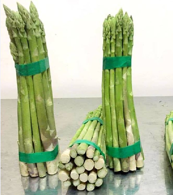 Hạt giống Măng Tây xanh Mỹ ( 1 gói 20 hạt ) - VTNN2