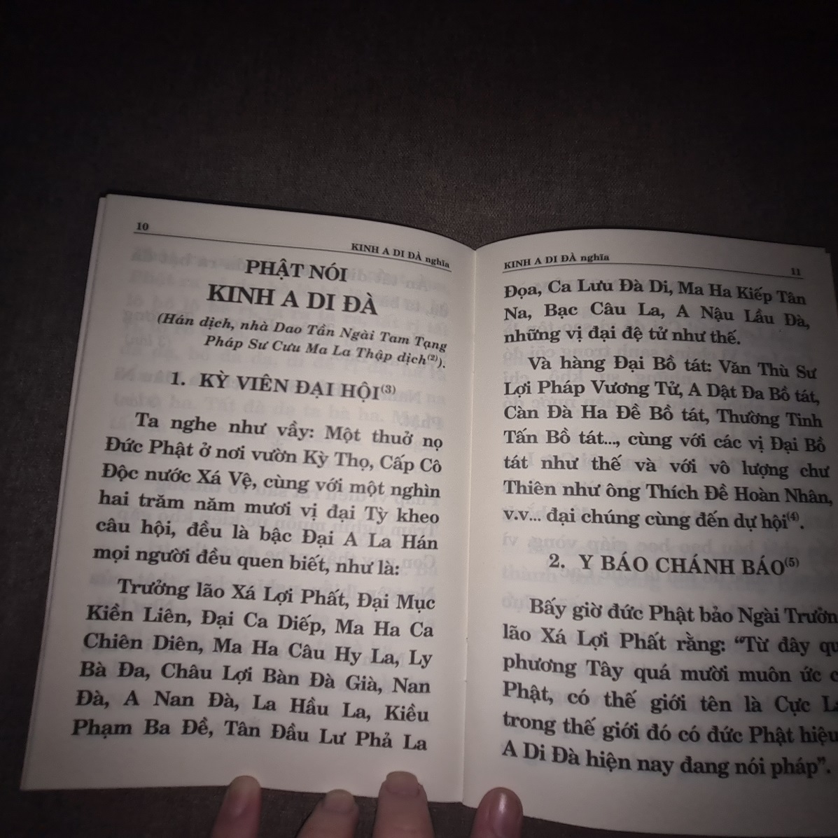 Sách Kinh A Di Đà Nghĩa - HT THÍCH TRÍ TỊNH