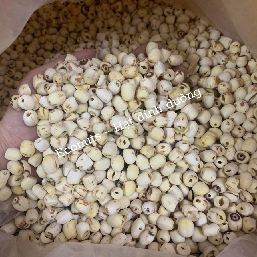 Hạt sen khô Huế loại 1 Econuts, bở thơm ngon