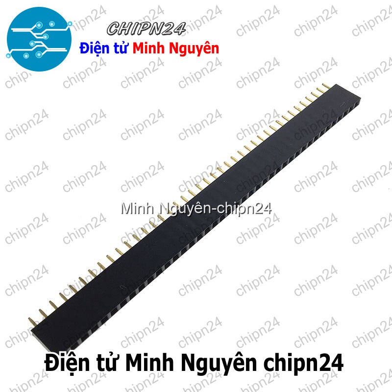 [3 cây] (H64) Hàng rào Cái Đơn Vuông 2.54MM 1x40p (Jump, Header) - HH000520
