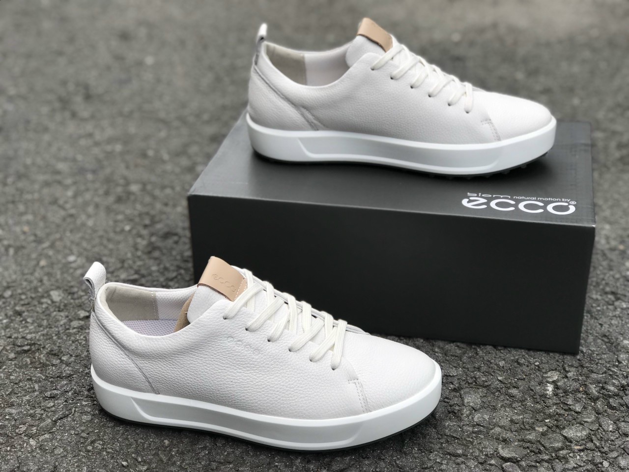 Socks gift - Freeship - Ecco Golf Shoes Unisex