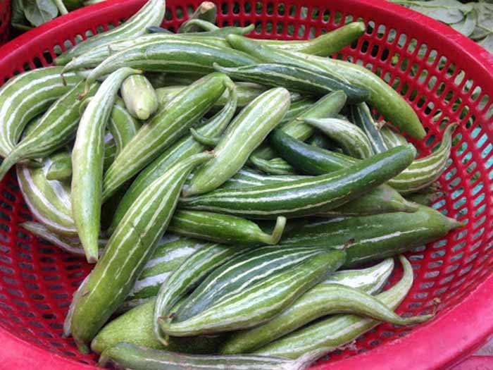 Hạt giống Khổ Qua Tây (Lặc Lầy, Lặc Lày,  Mướp nhật, Mướp rừng) - Gói 15 hạt