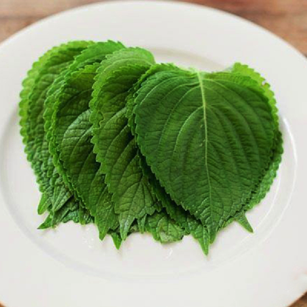 Gói 300 hạt giống lá mè Hàn Quốc