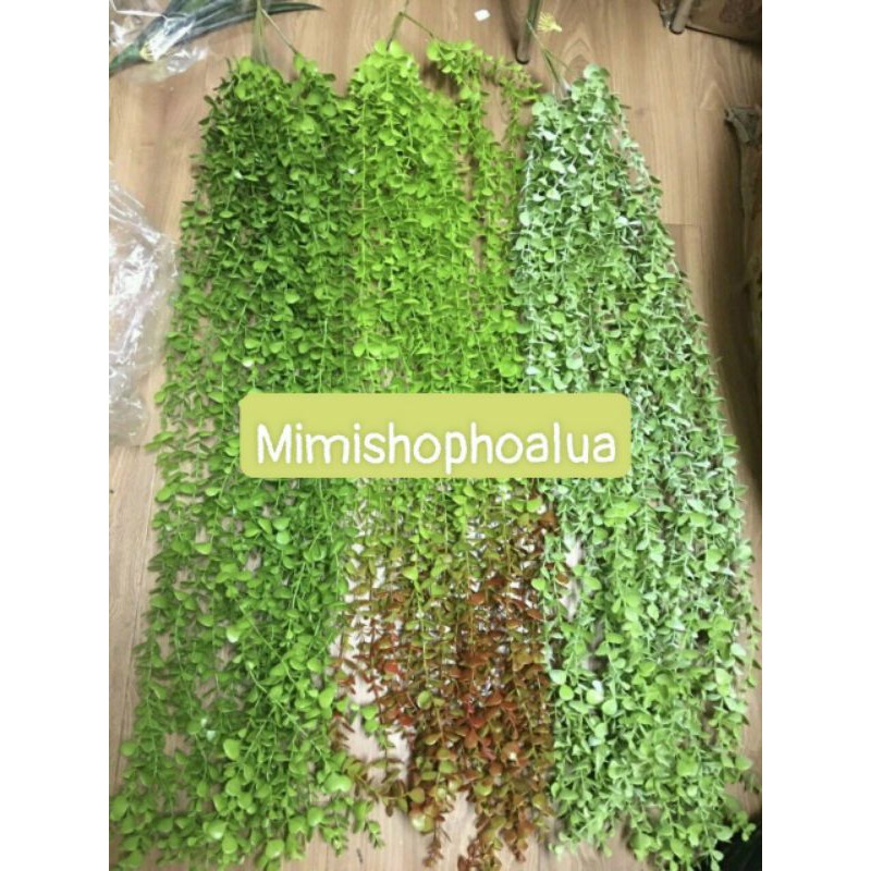 Cụm lá rủ - lá vảy ốc -Trang Trí Nhà Cửa siêu đẹp