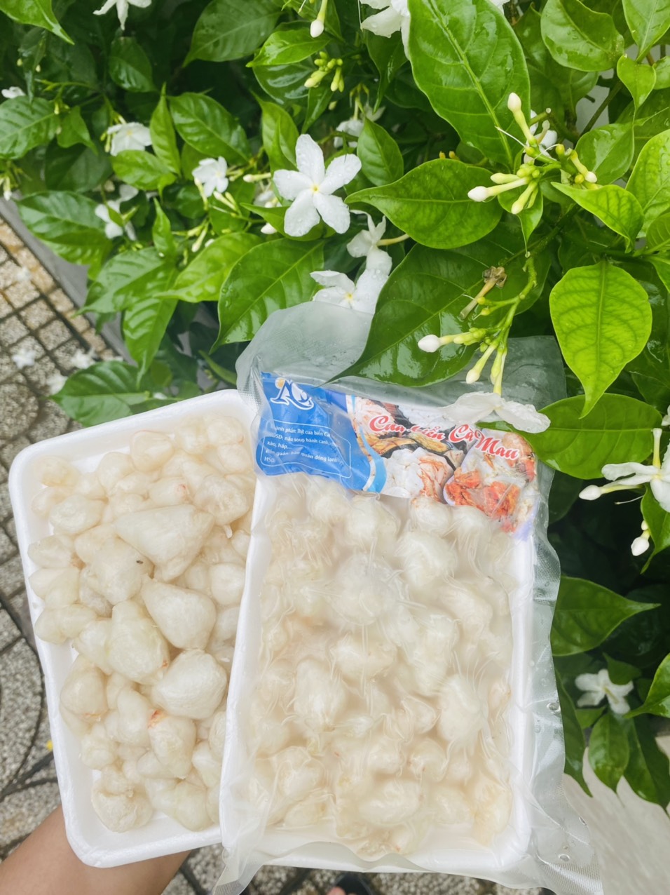 [GIAO NHANH 2H HCM] Sỉ 1Kg Đùi Cua Cồ (đã bóc sẵn)