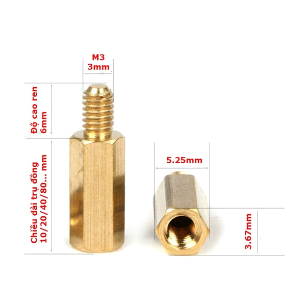 Cọc Đồng Phi 3 Đực Cái
