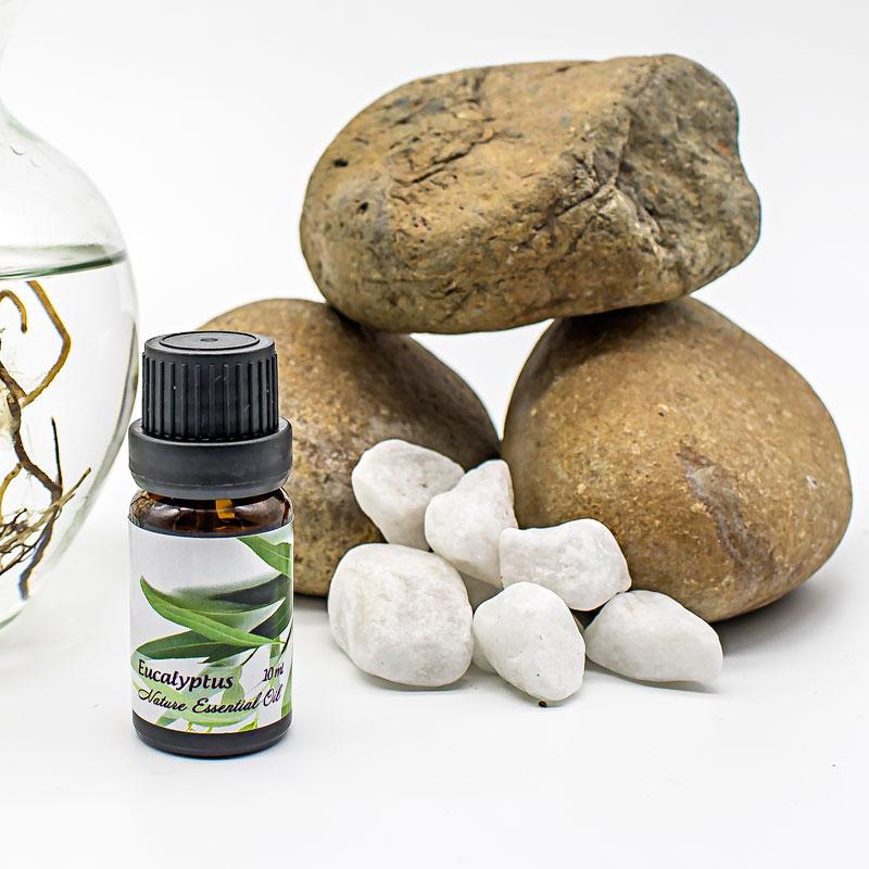 Tinh dầu khuynh diệp - Eucalyptus Essential Oil