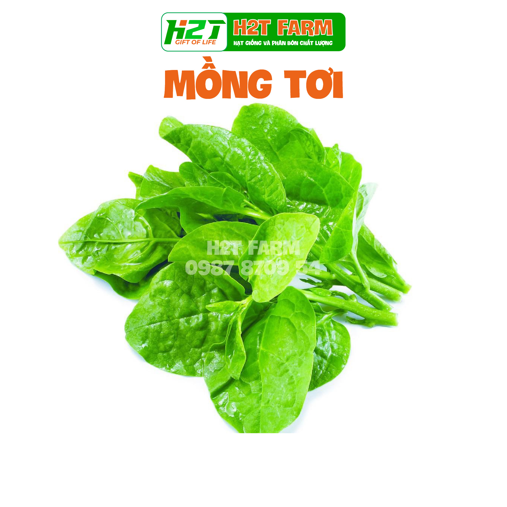 Hạt Giống Mồng Tơi Cao Sản 20gr - h2t farm