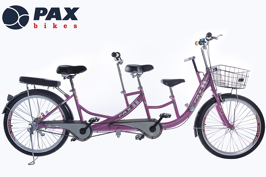 [HCM]Xe đạp đôi PAX-2-SPORT