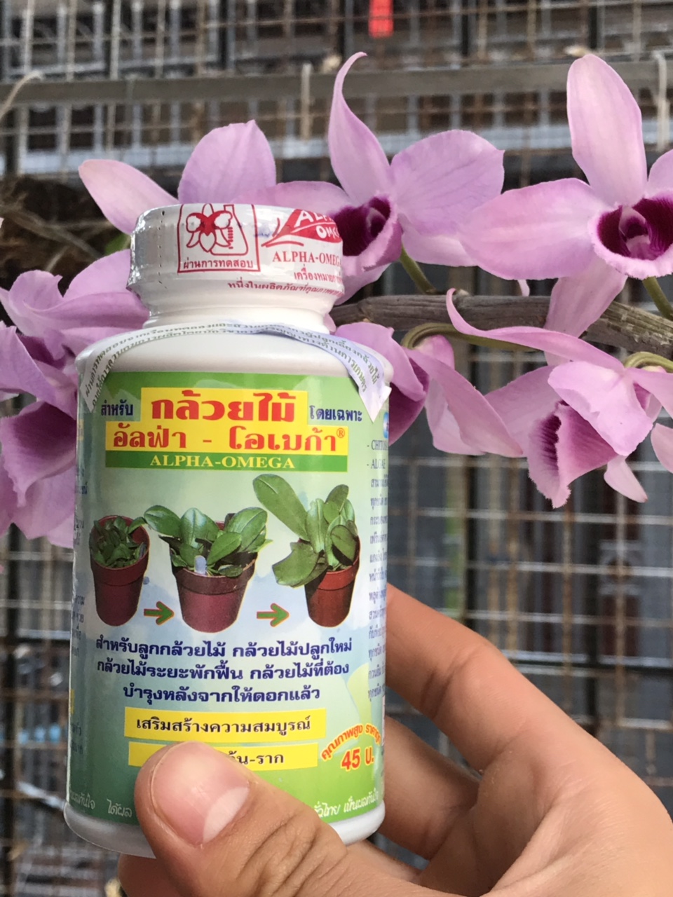 Kích Ki , Kích mầm Thái Omega chai 250ml