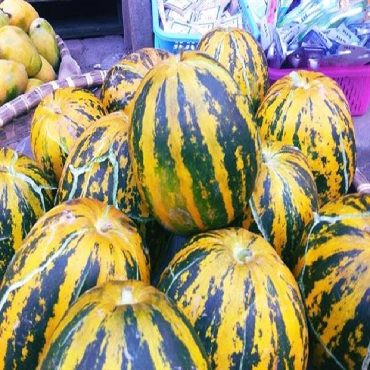 Hạt giống Dưa Bở thơm cao sản