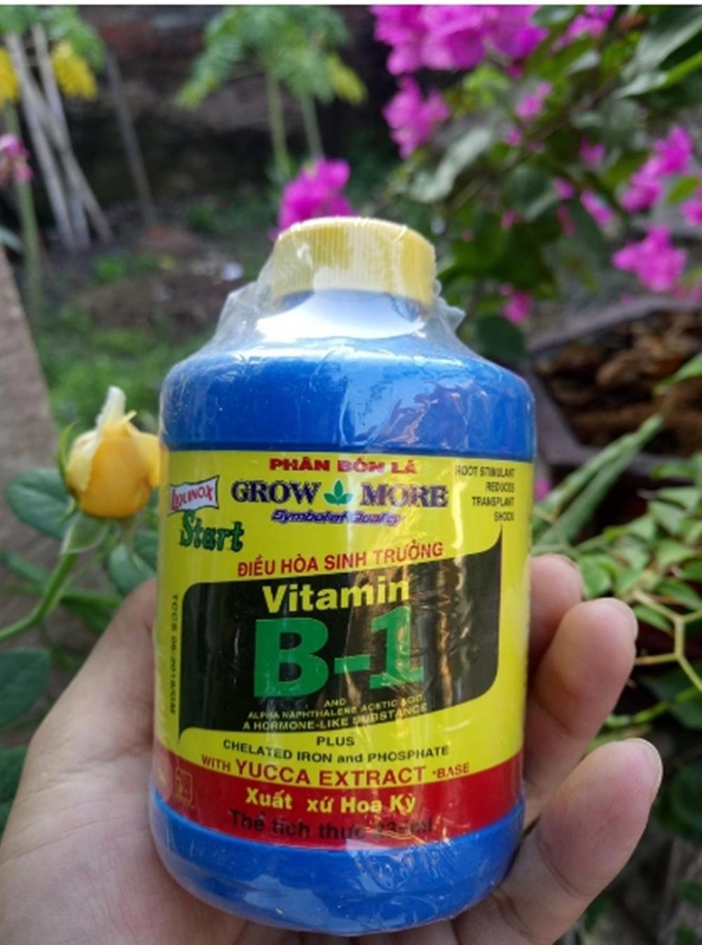 B1 mỹ cho lan, cây trồng