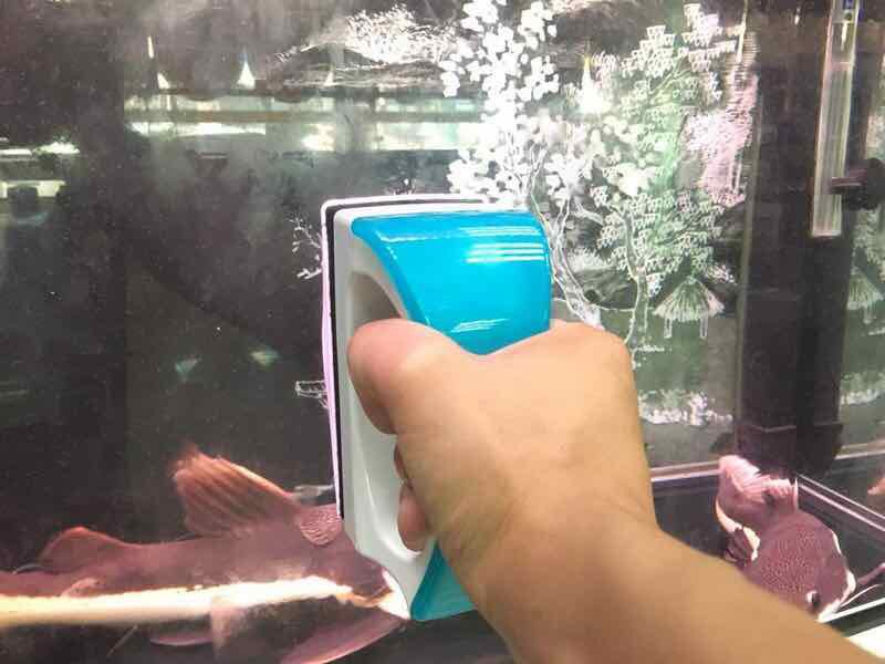 Nam châm vệ sinh hồ cá - vipsun fish 102 - hàng công ty