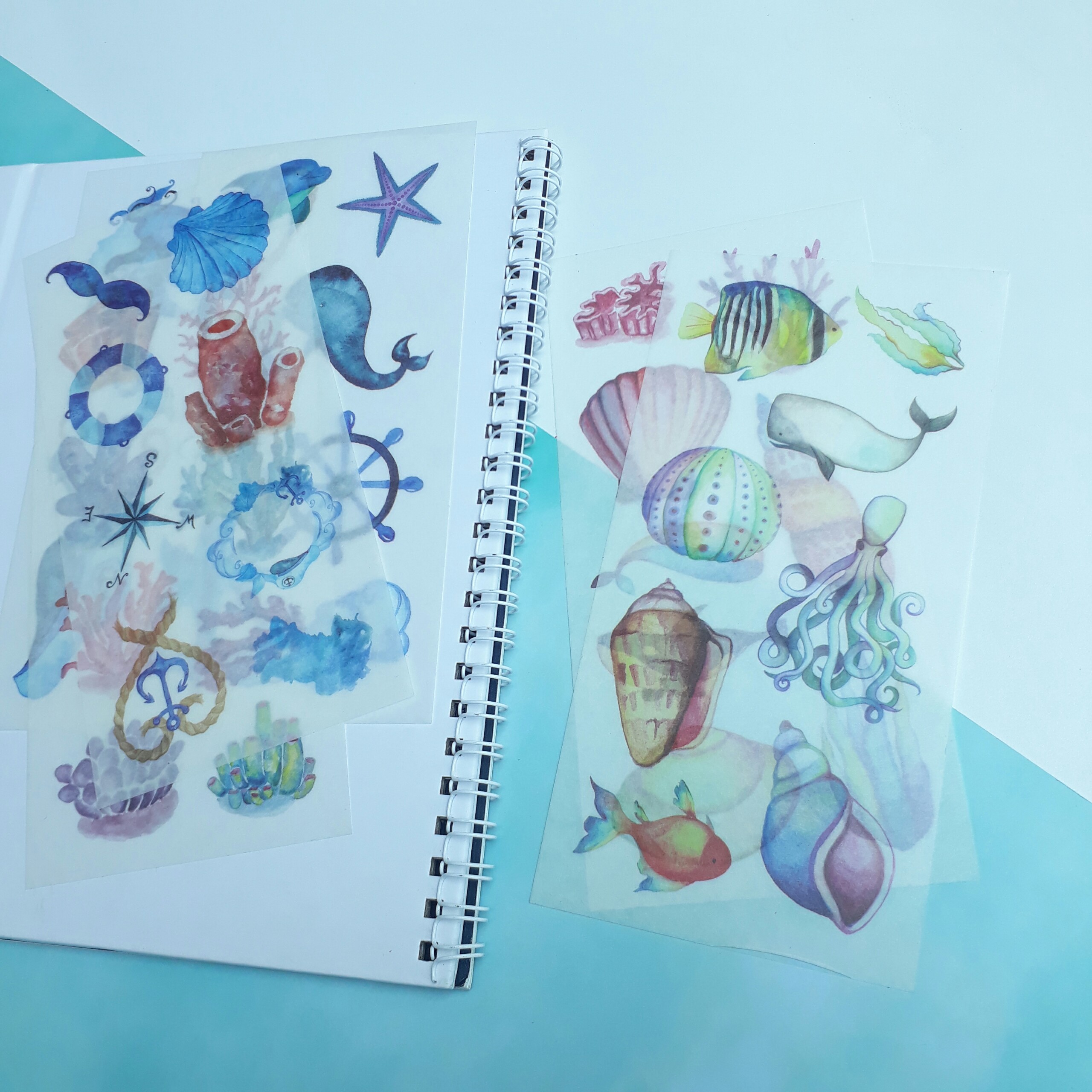 [HCM]Bộ 6 Tấm Sticker Sinh Vật Biển